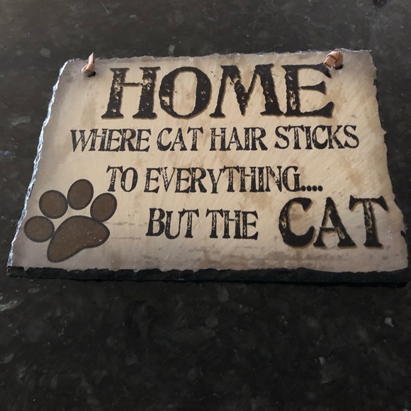 😹 Bye Cutie 😹 Said goodbye to our dear Cutie 2-6-24. She gave us much Joy!♥️ - Picture 13 of 14